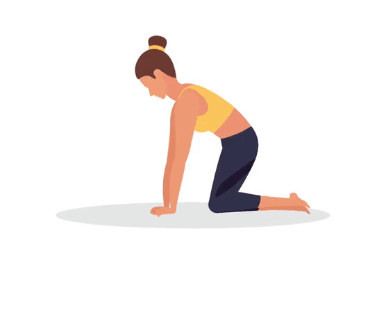 Exercise GIF
